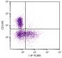 C57BL/6 mouse splenocytes were stained with Mouse Anti-Mouse I-Ab-FLMA (SB Cat. 1896-22) and Rat Anti-Mouse CD3ε-PE (SB Cat. No. 1535-09).
