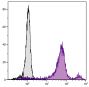 BALB/c mouse bone marrow cells were stained with Rat Anti-Mouse Ly-6C-AF488 (SB Cat. No. 1760-30).