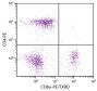 BALB/c mouse splenocytes were stained with Rat Anti-Mouse CD8α-PE/TXRD (SB Cat. No. 1550-10) and Rat Anti-Mouse CD4-PE (SB Cat. No. 1540-09).