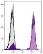 Human peripheral blood lymphocytes were stained with Mouse Anti-Human CD3-UNLB followed by Goat Anti-Mouse IgG(H+L), Human ads-CY5 (SB Cat. No. 1031-15).