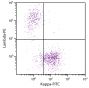 CD19+ human B-lymphocytes were stained with Goat Anti-Human Kappa, Monkey ads-FITC (SB Cat. 2064-02) and Goat F(ab')<sub>2</sub> Anti-Human Lambda-PE (SB Cat. No. 2072-09).