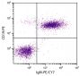 BALB/c mouse splenocytes were stained with Rat Anti-Mouse IgM-PE/CY7 (SB Cat. No. 1140-17) and Rat Anti-Mouse CD19-PE (SB Cat. No. 1575-09).