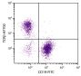 C57BL/6 mouse splenocytes were stained with Hamster Anti-Mouse TCRβ-AF700 (SB Cat. No. 1785-27) and Rat Anti-Mouse CD19-FITC (SB Cat. No. 1575-02).