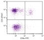 Chicken peripheral blood lymphocytes were stained with Mouse Anti-Chicken CD3-AF647 (SB Cat. No. 8200-31) and Mouse Anti-Chicken CD8α-FITC (SB Cat. No. 8220-02).