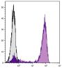 Human peripheral blood lymphocytes were stained with Mouse Anti-Human CD3-UNLB followed by Goat Anti-Mouse IgG<sub>1</sub>, Human ads-UNLB (SB Cat. No. 1070-01) and Mouse Anti-Goat IgG Fc-AF488 (SB Cat. No. 6158-30).