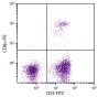 Chicken peripheral blood lymphocytes were stained with Mouse Anti-Chicken CD3-FITC (SB Cat. No. 8200-02) and Mouse Anti-Chicken CD8α-PE (SB Cat. No. 8220-09).