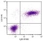 BALB/c mouse splenocytes were stained with Goat Anti-Mouse IgM-AF488 (SB Cat. No. 1021-30) and Rat Anti-Mouse CD19-PE (SB Cat. No. 1575-09).