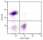 BALB/c mouse splenocytes were stained with Rat Anti-Mouse CD3ε-UNLB (SB Cat. 1535-01) and Rat Anti-Mouse CD19-PE (SB Cat. No. 1575-09) followed by Mouse Anti-Rat IgG<sub>2b</sub>-FITC (SB Cat. No. 3070-02).