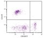 Feline peripheral blood lymphocytes were stained with Mouse Anti-Feline CD8-BIOT (SB Cat. No. 8120-08) and Mouse Anti-Feline CD4-PE (SB Cat. No. 8130-09) followed by Streptavidin-FITC (SB Cat. No. 7100-02).