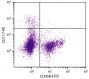 BALB/c mouse bone marrow cells were stained with Rat Anti-Mouse CD117-PE (SB Cat. No. 1885-09) and Rat Anti-Mouse CD45R-FITC (SB Cat. No. 1665-02).