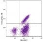 Chicken peripheral blood lymphocytes were stained with Mouse Anti-Chicken TCRαβ/Vβ2-PE (SB Cat. No. 8250-09) and Mouse Anti-Chicken CD3-FITC (SB Cat. No. 8200-02).