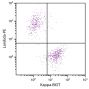 CD19+ human B-lymphocytes were stained with Goat Anti-Human Kappa, Monkey ads-BIOT (SB Cat. 2064-08) and Goat F(ab')<sub>2</sub> Anti-Human Lambda, Mouse ads-PE (SB Cat. No. 2073-09) followed by Streptavidin-FITC (SB Cat. No. 7100-02).