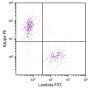 CD19+ human B-lymphocytes were stained with Goat F(ab')<sub>2</sub> Anti-Human Lambda, Mouse ads-FITC (SB Cat. 2073-02) and Goat F(ab')<sub>2</sub> Anti-Human Kappa-PE (SB Cat. No. 2062-09).