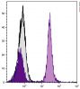 BALB/c mouse splenocytes were stained with Mouse Anti-Mouse CD19-UNLB (SB Cat. No. 1576-01) followed by Goat Anti-Mouse IgA-PE (SB Cat. No. 1040-09).