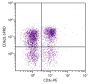 BALB/c mouse splenocytes were stained with Rat Anti-Mouse CD62L-SPRD (SB Cat. No. 1705-13) and Rat Anti-Mouse CD3ε-PE (SB Cat. No. 1535-09).