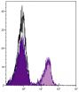 BALB/c mouse splenocytes were stained with Hamster IgG-APC (SB Cat. No. 0121-11; gray) and Hamster Anti-Mouse CD3ε-APC (SB Cat. No. 1530-11).