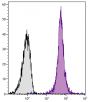 C57BL/6 mouse splenocytes were stained with Mouse Anti-Mouse CD45.2-SPRD (SB Cat. No. 1800-13).