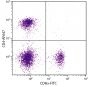 BALB/c mouse splenocytes were stained with Rat Anti-Mouse CD4-AF647 (SB Cat. 1540-31) and Rat Anti-Mouse CD8α-FITC (SB Cat. No. 1550-02).