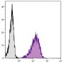 Mouse pre-B cell line 18-81 was stained with Rat Anti-Mouse BP-1-FITC (SB Cat. No. 1770-02).