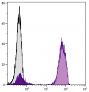 Human peripheral blood lymphocytes were stained with Mouse Anti-Human CD3-UNLB followed by Goat Anti-Mouse IgG<sub>1</sub>, Human ads-FITC (SB Cat. No. 1070-02).