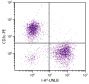 BALB/c mouse splenocytes were stained with Mouse Anti-Mouse I-Ad-UNLB (SB Cat. No. 1901-01) and Rat Anti-Mouse CD3ε-PE (SB Cat. No. 1535-09) followed by Goat Anti-Mouse IgG<sub>2a</sub>, Human ads-FITC (SB Cat. No. 1080-02).