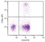 Chicken peripheral blood lymphocytes were stained with Mouse Anti-Chicken CD8α-APC (SB Cat. No. 8220-11) and Mouse Anti-Chicken CD3-FITC (SB Cat. No. 8200-02).