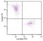 CD19+ human B-lymphocytes were stained with Mouse Anti-Human Kappa-PE (SB Cat. No. 9230-09) and Goat F(ab')<sub>2</sub> Anti-Human Lambda, Mouse ads-FITC (SB Cat. No. 2073-02).