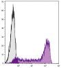 Human peripheral blood lymphocytes were stained with Mouse Anti-Human CD45RA-UNLB followed by Goat F(ab')<sub>2</sub> Anti-Mouse IgG<sub>2b</sub>, Human ads-AF488 (SB Cat. No. 1092-30).