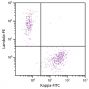 CD19+ human B-lymphocytes were stained with Goat F(ab')<sub>2</sub> Anti-Human Kappa-FITC (SB Cat. 2062-02) and Goat F(ab')<sub>2</sub> Anti-Human Lambda, Mouse ads-PE (SB Cat. No. 2073-09).