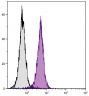 BALB/c mouse splenocytes were stained with Rat Anti-Mouse CD2-UNLB (SB Cat. No. 1525-01) followed by Mouse Anti-Rat IgG<sub>1</sub>-FITC (SB Cat. No. 3060-02).