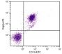 BALB/c mouse splenocytes were stained with Goat Anti-Mouse Kappa-PE (SB Cat. No. 1050-09) and Rat Anti-Mouse CD19-FITC (SB Cat. No. 1575-02).