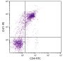 Chick thymocytes were stained with Mouse Anti-Chicken ChT1-PE (SB Cat. No. 8410-09) and Mouse Anti-Chicken CD4-FITC (SB Cat. No. 8255-02).