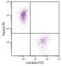 CD19+ human B-lymphocytes were stained with Goat Anti-Human Kappa-PE (SB Cat. 2060-09) and Goat F(ab')<sub>2</sub> Anti-Human Lambda, Mouse ads-FITC (SB Cat. No. 2073-02).