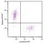 CD19+ human B-lymphocytes were stained with Goat F(ab')<sub>2</sub> Anti-Human Kappa-AF647 (SB Cat. 2062-31) and Goat F(ab')<sub>2</sub> Anti-Human Lambda-FITC (SB Cat. No. 2072-02).