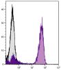 Human peripheral blood lymphocytes were stained with Mouse Anti-Human CD3-UNLB followed by Goat Anti-Mouse Ig, Human ads-UNLB (SB Cat. No. 1010-01) and Mouse Anti-Goat IgG Fc-AF488 (SB Cat. No. 6158-30).