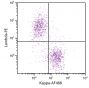 CD19+ human B-lymphocytes were stained with Goat Anti-Human Kappa, Monkey ads-AF488 (SB Cat. 2064-30) and Goat F(ab')<sub>2</sub> Anti-Human Lambda, Mouse ads-PE (SB Cat. No. 2073-09).