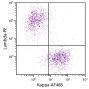 CD19+ human B-lymphocytes were stained with Goat Anti-Human Kappa-AF488 (SB Cat. 2060-30) and Goat F(ab')<sub>2</sub> Anti-Human Lambda, Mouse ads-PE (SB Cat. No. 2073-09).