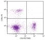 C57BL/6 mouse splenocytes were stained with Rat Anti-Mouse CD4-PE/TXRD (SB Cat. 1540-10) and Rat Anti-Mouse CD8α-PE (SB Cat. No. 1550-09).