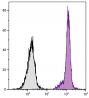 BALB/c mouse bone marrow cells were stained with Mouse Anti-Mouse CD45.2-PE/CY5.5 (SB Cat. No. 1800-16).