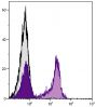 BALB/c mouse splenocytes were stained with Rat Anti-Mouse CD22-UNLB (SB Cat. No. 1580-01) followed by Mouse Anti-Rat Kappa-PE (SB Cat. No. 3090-09).