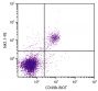 C57BL/6 mouse splenocytes were stained with Rat Anti-Mouse CD49b-BIOT (SB Cat. 1806-08) and Mouse Anti-Mouse NK1.1-PE (SB Cat. No. 1805-09) followed by Streptavidin-FITC (SB Cat. No. 7100-02).