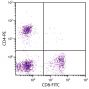 Feline peripheral blood lymphocytes were stained with Mouse Anti-Feline CD8-FITC (SB Cat. No. 8120-02) and Mouse Anti-Feline CD4-PE (SB Cat. No. 8130-09).