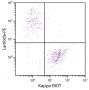 CD19+ human B-lymphocytes were stained with Goat Anti-Human Kappa-BIOT (SB Cat. 2060-08) and Goat F(ab')<sub>2</sub> Anti-Human Lambda, Mouse ads-PE (SB Cat. No. 2073-09) followed by Streptavidin-FITC (SB Cat. No. 7100-02).