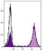 Human peripheral blood lymphocytes were stained with Mouse Anti-Human CD5-UNLB followed by Goat F(ab')<sub>2</sub> Anti-Mouse IgG<sub>2a</sub>, Human ads-PE (SB Cat. No. 1082-09).