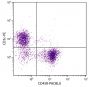 BALB/c mouse splenocytes were stained with Rat Anti-Mouse CD45R-PACBLU (SB Cat. No. 1665-26) and Rat Anti-Mouse CD3ε-PE (SB Cat. No. 1535-09).