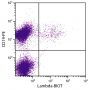 BALB/c mouse splenocytes were stained with Rat Anti-Mouse Lambda-BIOT (SB Cat. No. 1175-08) and Rat Anti-Mouse CD19-PE (SB Cat. No. 1575-09) followed by Streptavidin-FITC (SB Cat. No. 7100-02).