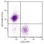 BALB/c mouse splenocytes were stained with Mouse Anti-Mouse CD19-APC/CY5.5 (SB Cat. No. 1576-18) and Rat Anti-Mouse CD3ε-FITC (SB Cat. No. 1535-02).