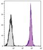 BALB/c mouse splenocytes were stained with Rat Anti-Mouse CD45-UNLB (SB Cat. No. 1660-01) followed by Goat F(ab')<sub>2</sub> Anti-Rat IgG(H+L), Mouse ads-FITC (SB Cat. No. 3052-02).