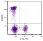 Feline peripheral blood lymphocytes were stained with Mouse Anti-Feline CD8-PE (SB Cat. No. 8120-09) and Mouse Anti-Feline CD4-FITC (SB Cat. No. 8130-02).