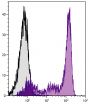 C57BL/6 mouse bone marrow cells were stained with Rat Anti-Mouse Ly-6G/ Ly-6C-PE/CY5.5 (SB Cat. No. 1900-16).